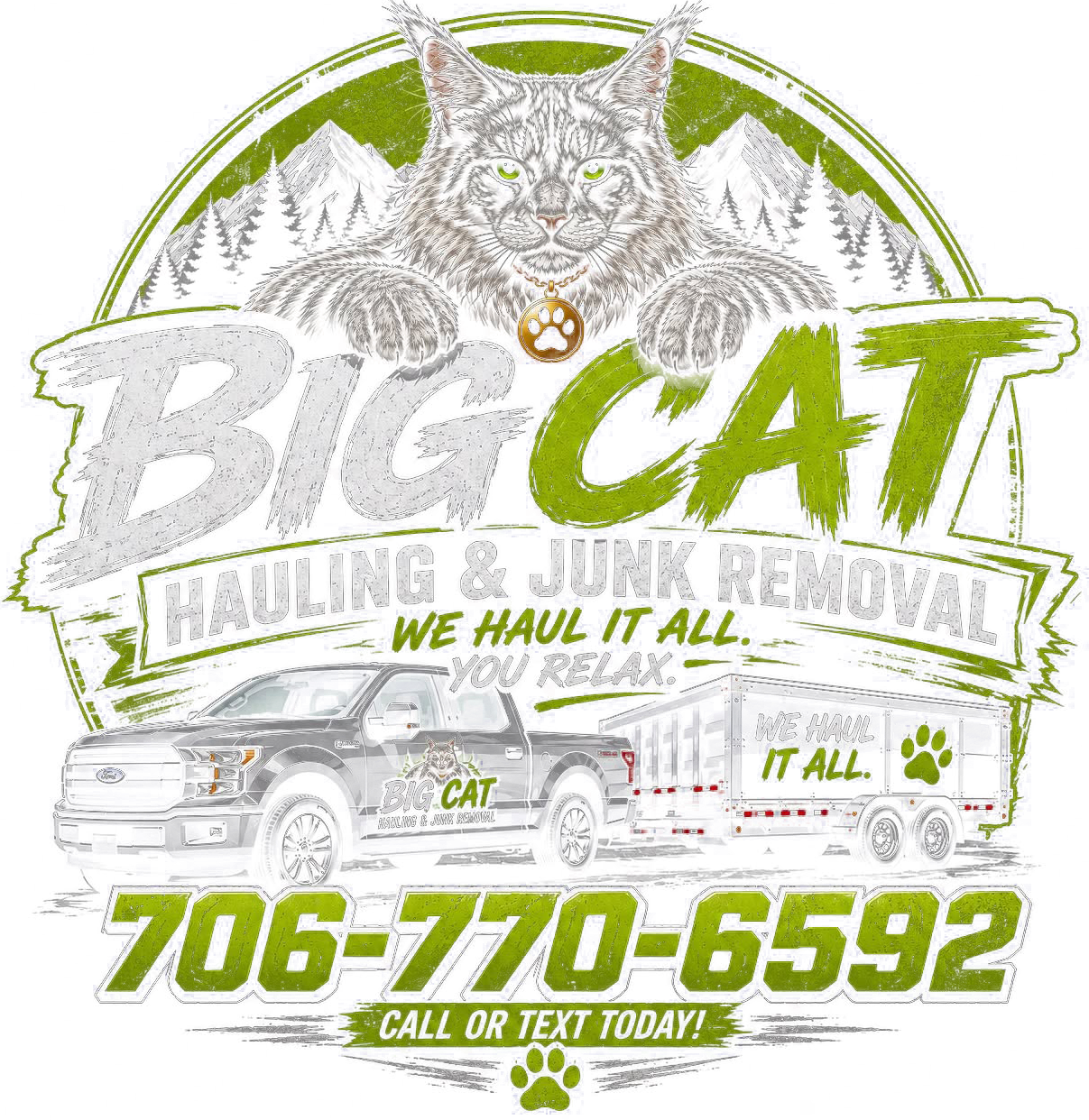 Big Cat Hauling & Junk Removal logo
