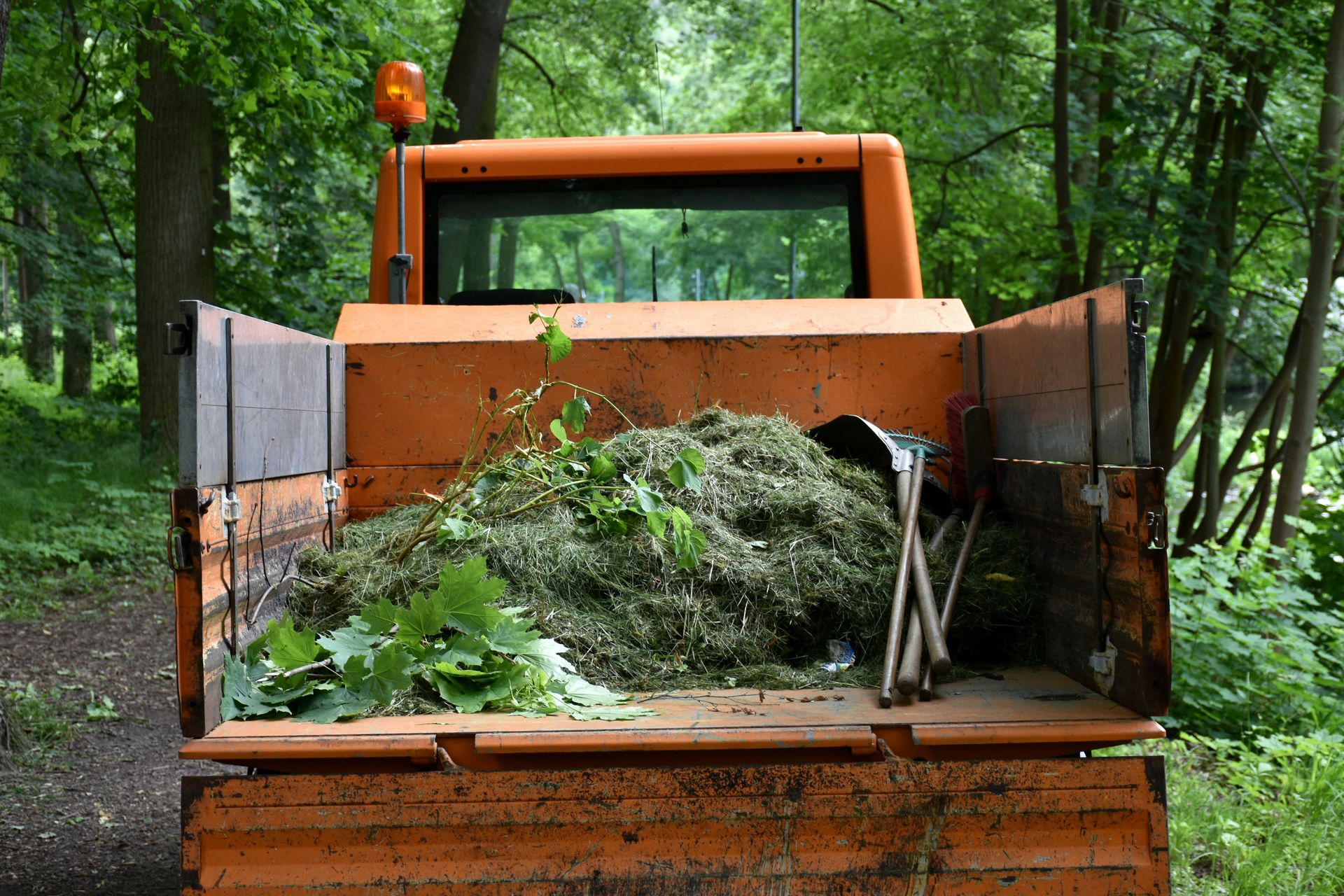 Orange utility truck carrying green garden waste in forest
